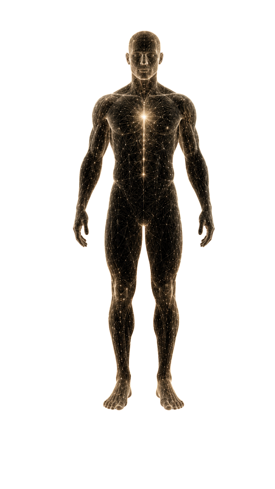 The A6 athlete — six pillars, one system